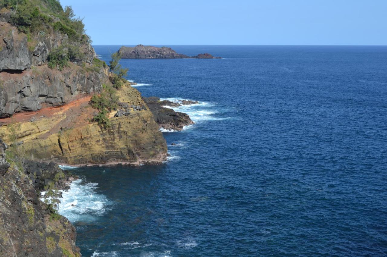 Villa atypique le chat perché de Grand Anse Petite Île Esterno foto